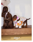 Playful Circus Lounge Pet Set