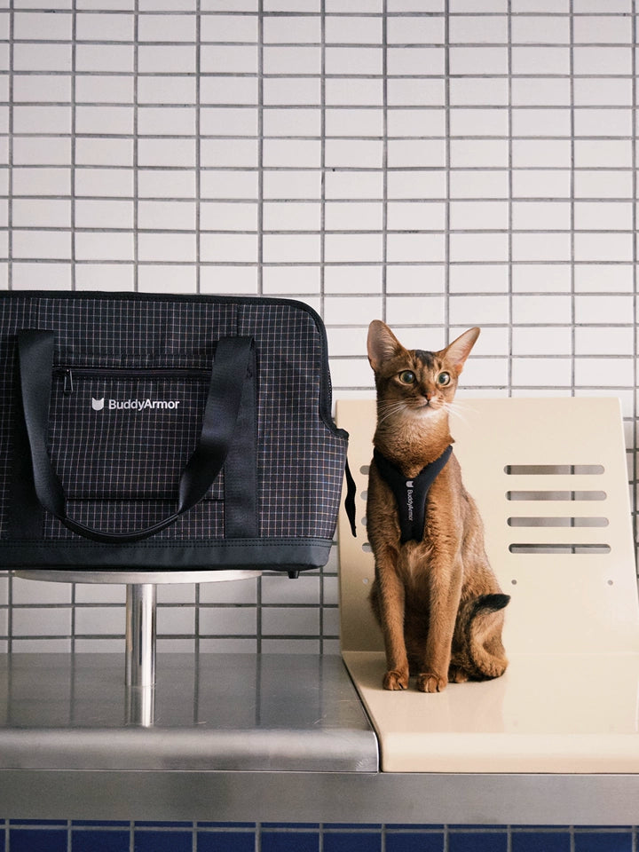 Breathable Travel Cat Carrier Tote