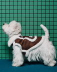 Espresso Auteur Vest (FOR PETS)