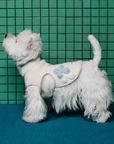 Bloom Étoile Hoodie (FOR PETS)