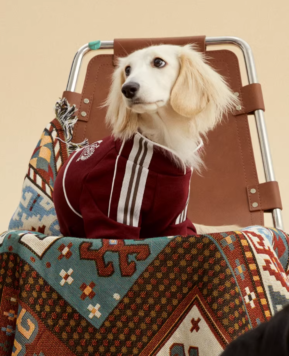 Pawimbledon Tennis Club Cardigan