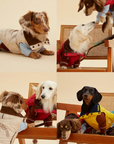 Major League Pup 06