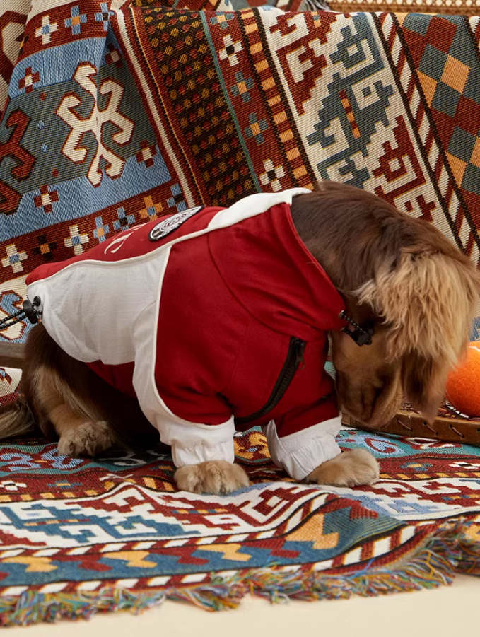 Pawsenal ’26 FC Jacket