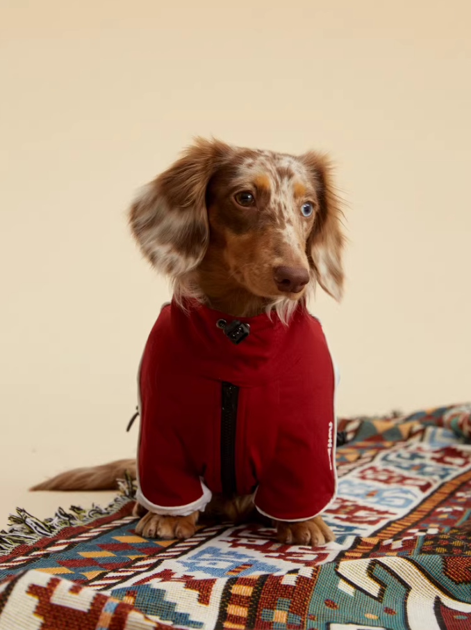 Pawsenal ’26 FC Jacket