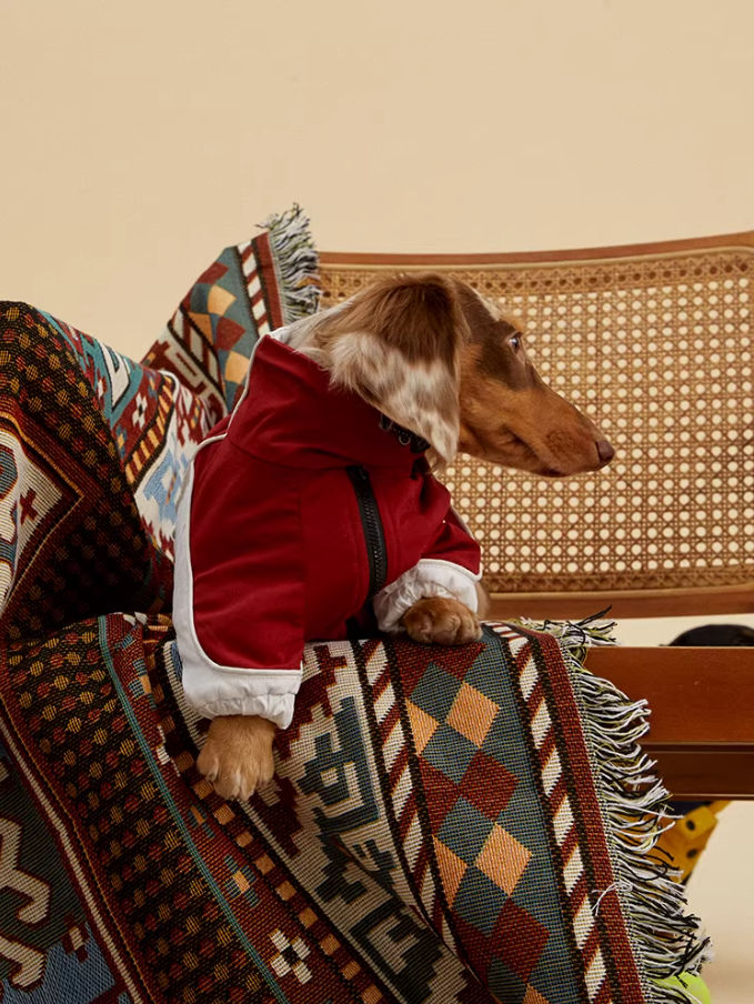 Pawsenal ’26 FC Jacket