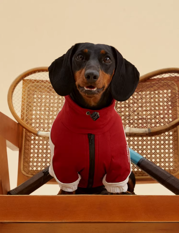 Pawsenal ’26 FC Jacket