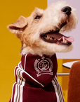 Pawimbledon Tennis Club Bandana