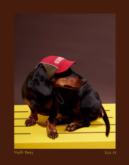 City Elite FC Cap