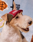City Elite FC Cap