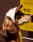 Clubhouse Classic Pet Cap