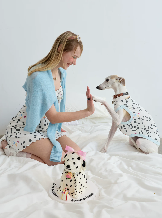 Dalmatian Muse Lounge Top