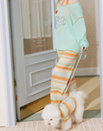 Mint Bear Dreamy Pet Pajamas