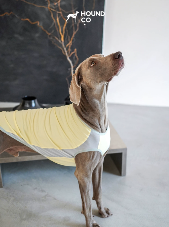 Ocean Breeze Cooling Vest