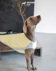 Ocean Breeze Cooling Vest