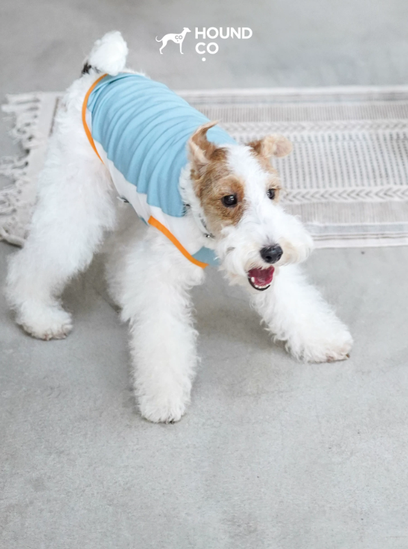 Ocean Breeze Cooling Vest