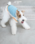 Ocean Breeze Cooling Vest