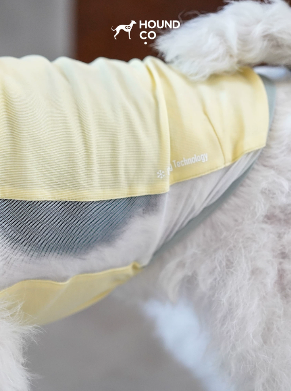 Ocean Breeze Cooling Vest