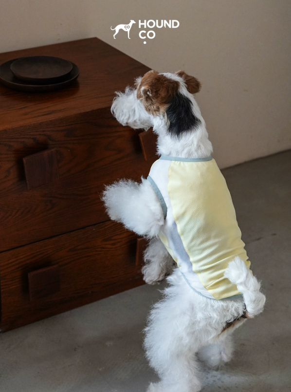 Ocean Breeze Cooling Vest