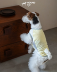 Ocean Breeze Cooling Vest
