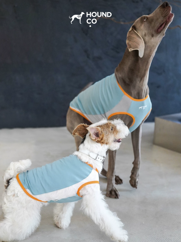 Ocean Breeze Cooling Vest