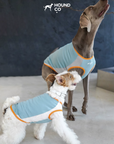 Ocean Breeze Cooling Vest