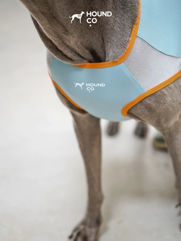 Ocean Breeze Cooling Vest