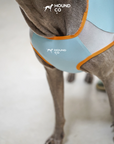 Ocean Breeze Cooling Vest