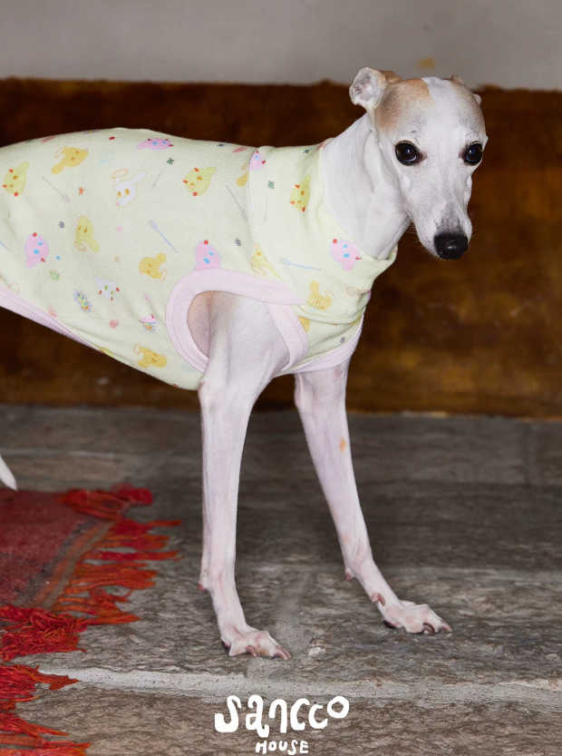 Garden Friends Pet Vest