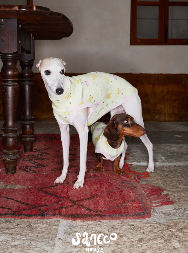 Garden Friends Pet Vest