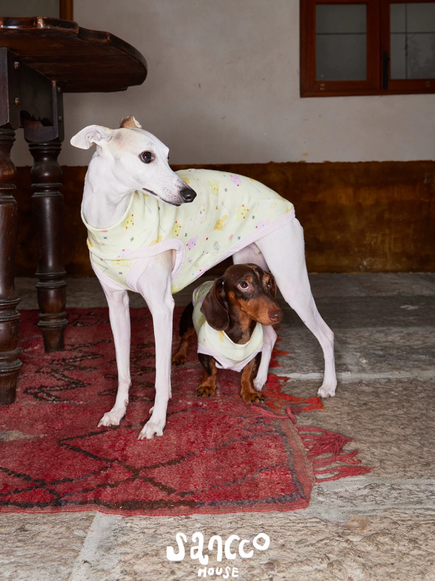 Garden Friends Pet Vest