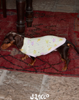 Garden Friends Pet Vest