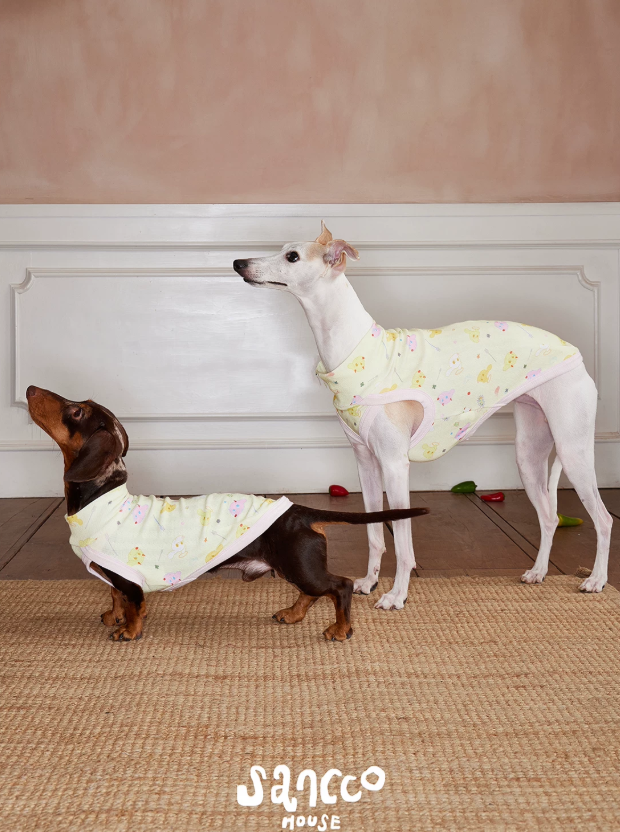 Garden Friends Pet Vest