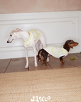 Garden Friends Pet Vest