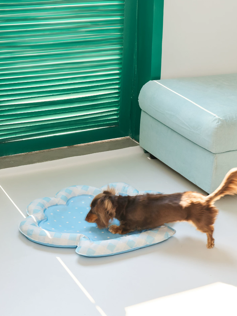 Blue Seashell Cooling Pet Mat