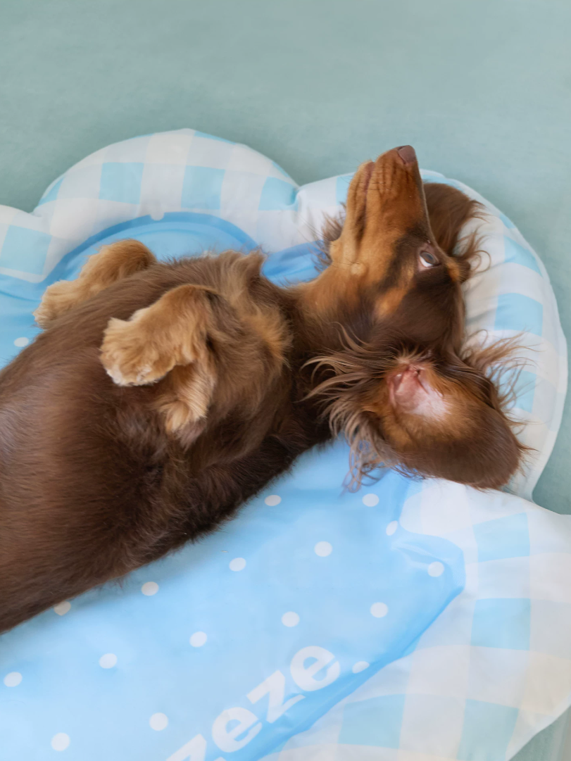 Blue Seashell Cooling Pet Mat