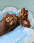 Blue Seashell Cooling Pet Mat