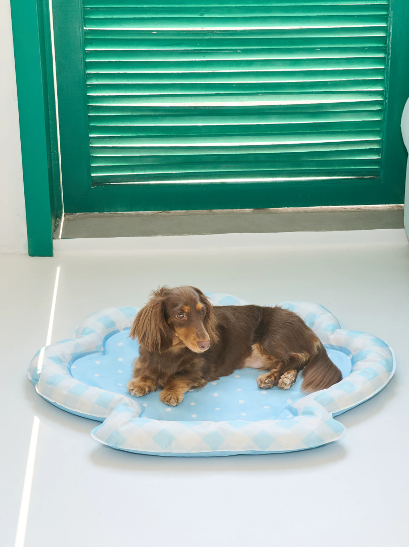 Blue Seashell Cooling Pet Mat