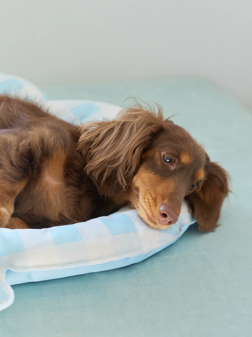 Blue Seashell Cooling Pet Mat