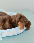Blue Seashell Cooling Pet Mat