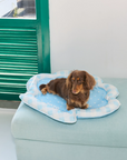 Blue Seashell Cooling Pet Mat