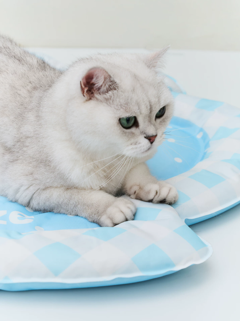 Blue Seashell Cooling Pet Mat