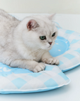 Blue Seashell Cooling Pet Mat