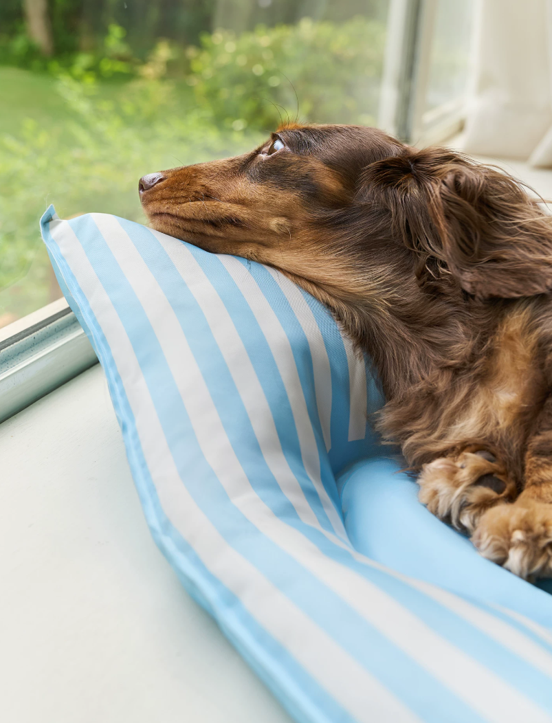 Polka Flower Cooling Pet Bed