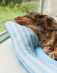 Polka Flower Cooling Pet Bed