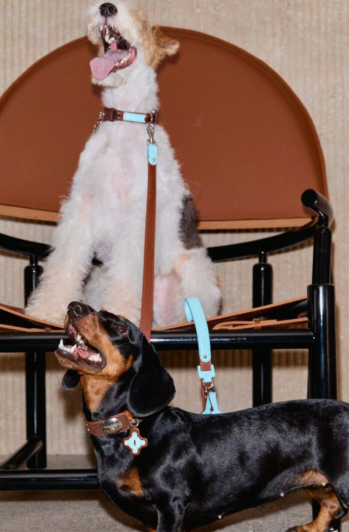 Vintage Top-Grain Pet Leather Collar and Leash Set