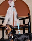 Vintage Top-Grain Pet Leather Collar and Leash Set