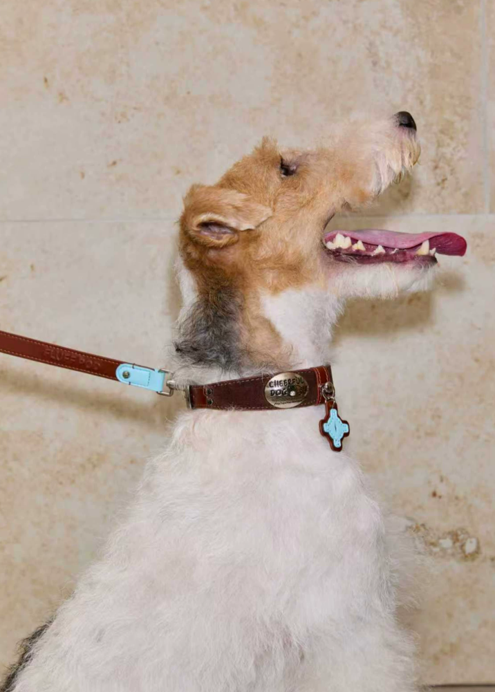 Vintage Top-Grain Pet Leather Collar and Leash Set