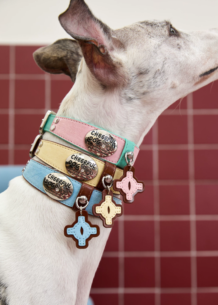 Vintage Top-Grain Pet Leather Collar and Leash Set