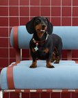 Vintage Top-Grain Pet Leather Collar and Leash Set