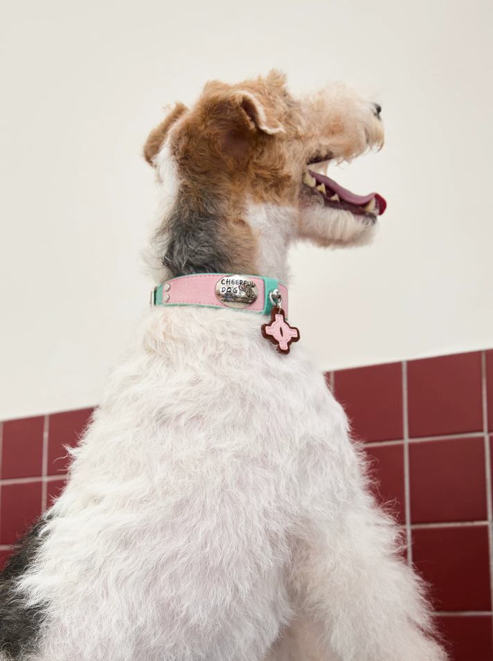 Vintage Top-Grain Pet Leather Collar and Leash Set